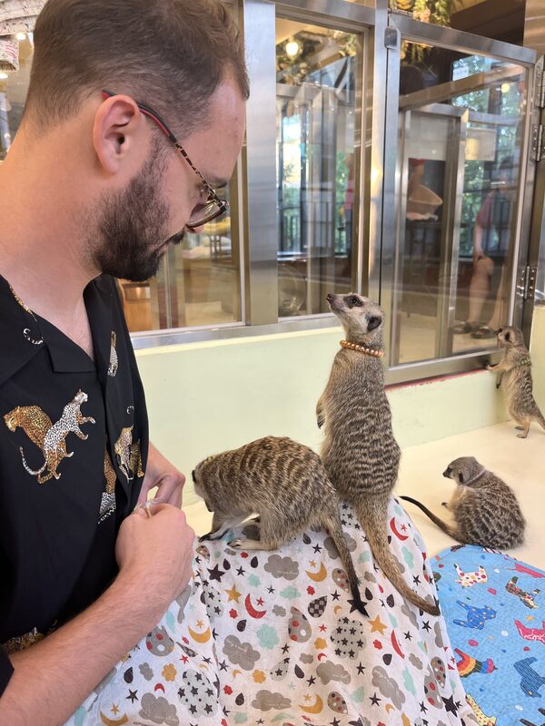 Meerkat cafe in Hongdae